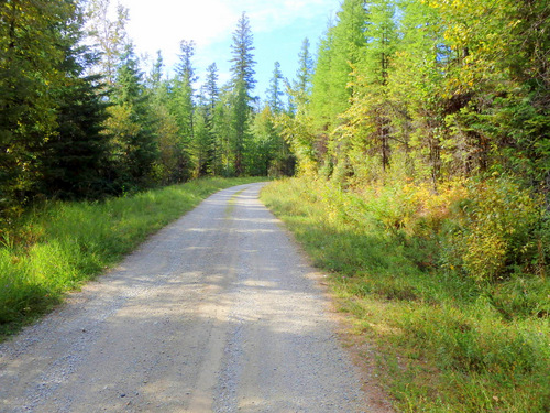 The beginning of Fall foliage change.